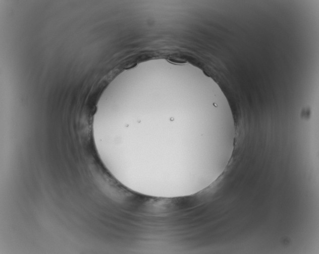 X0000113150186200909251337