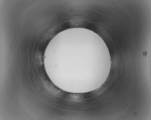 X0000113150187200909251337