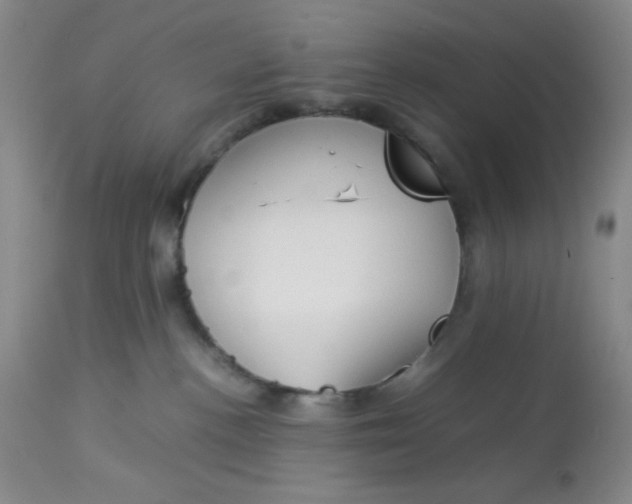 X0000113150188200909251337