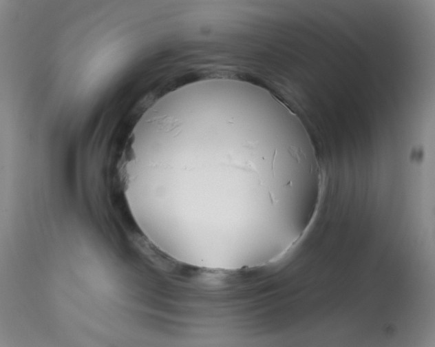 X0000113150190200909251337