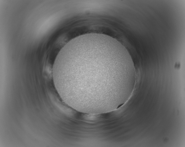 X0000113150191200909251337