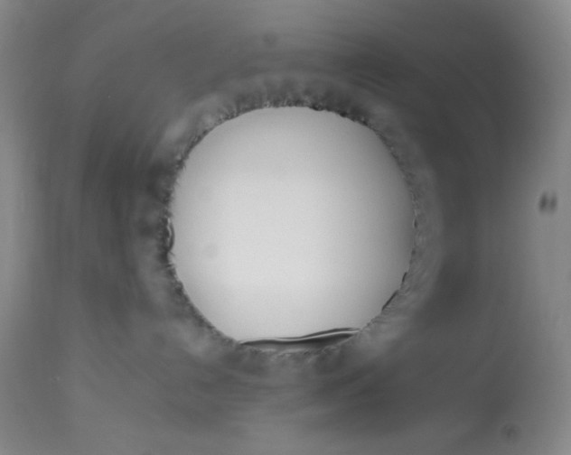 X0000113150192200909251337