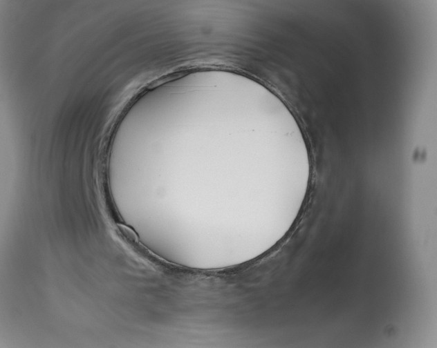 X0000113150193200909251336