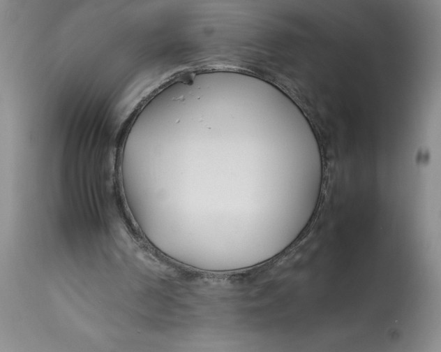 X0000113150194200909251336