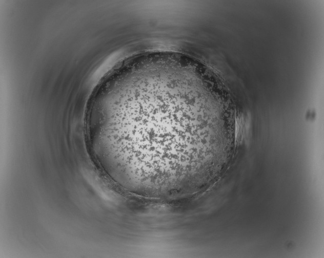 X0000113150195200909251336