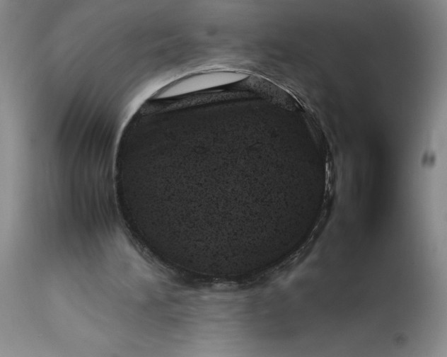 X0000113150196200909251336