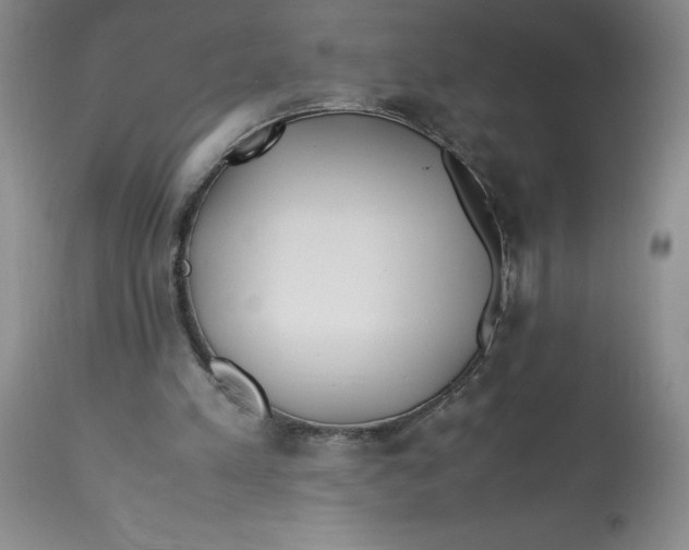 X0000113150197200909251336