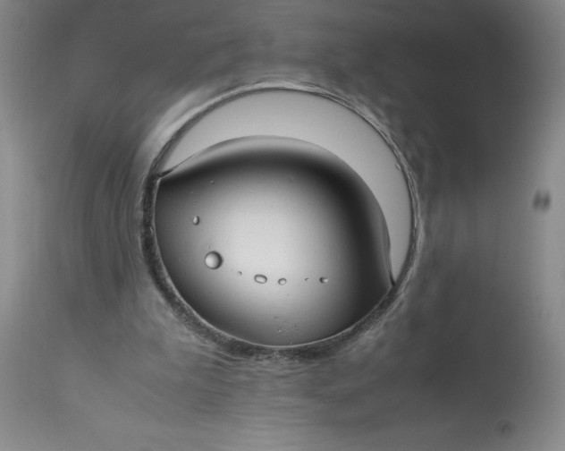 X0000113150199200909251336