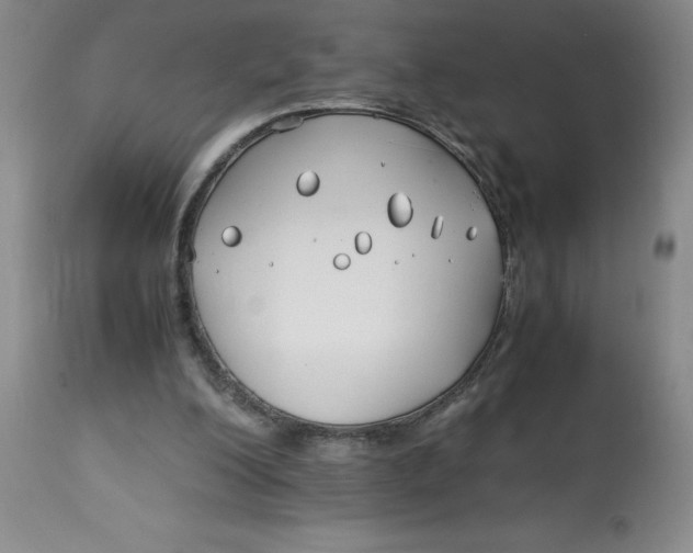 X0000113150200200909251336