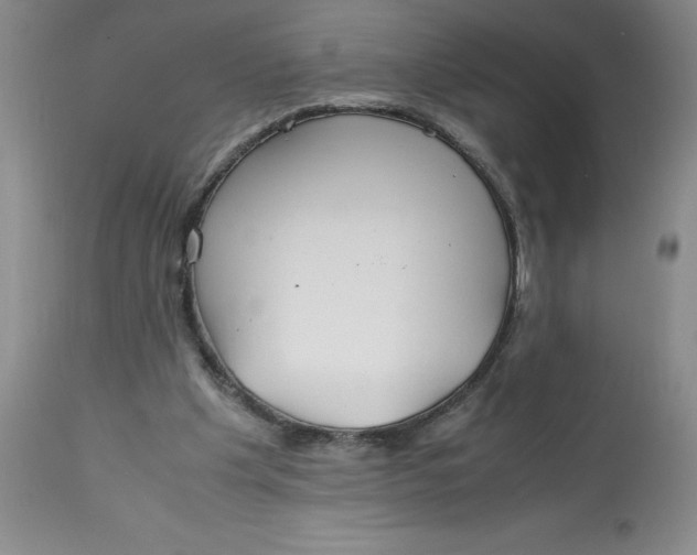 X0000113150201200909251336