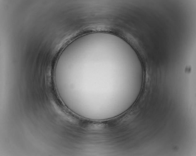 X0000113150202200909251336