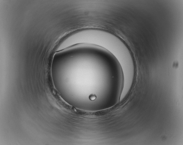 X0000113150203200909251336