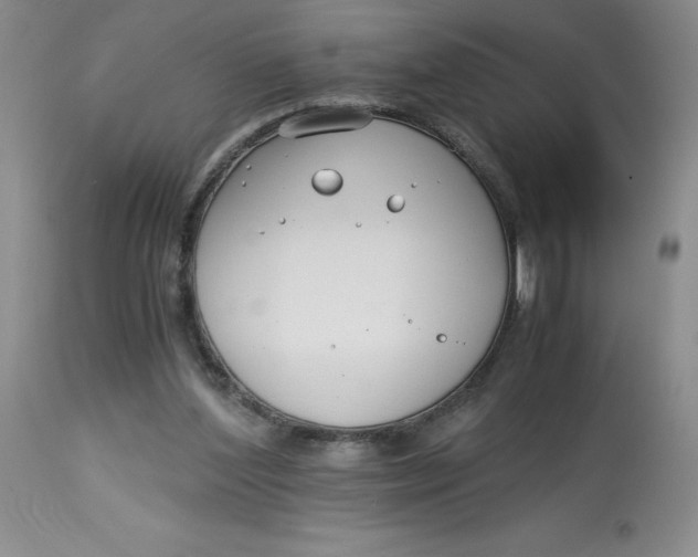 X0000113150204200909251336