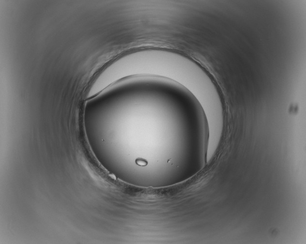 X0000113150205200909251336