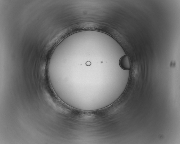 X0000113150206200909251336