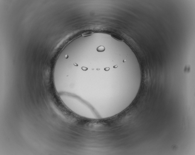 X0000113150208200909251336