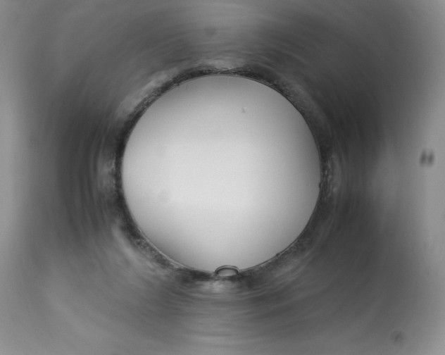 X0000113150212200909251336