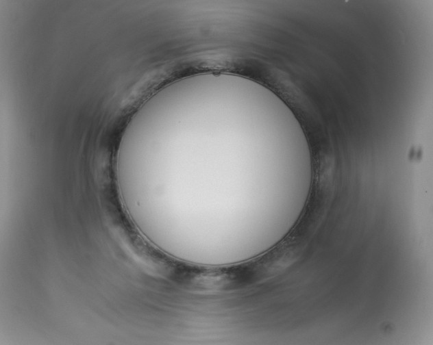 X0000113150213200909251336