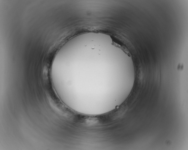 X0000113150214200909251336