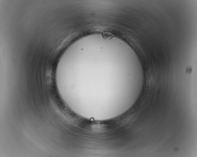 X0000113150216200909251336