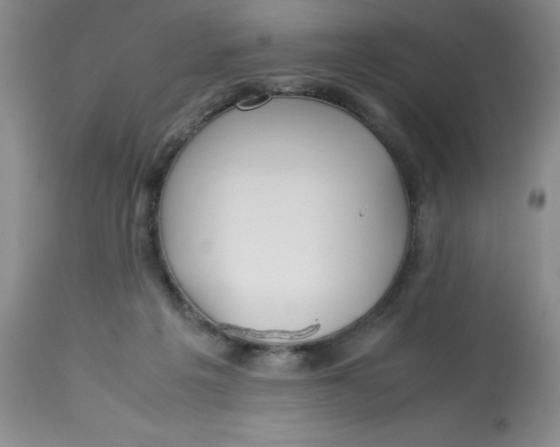 X0000113150217200909251336