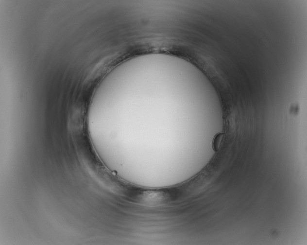 X0000113150218200909251336