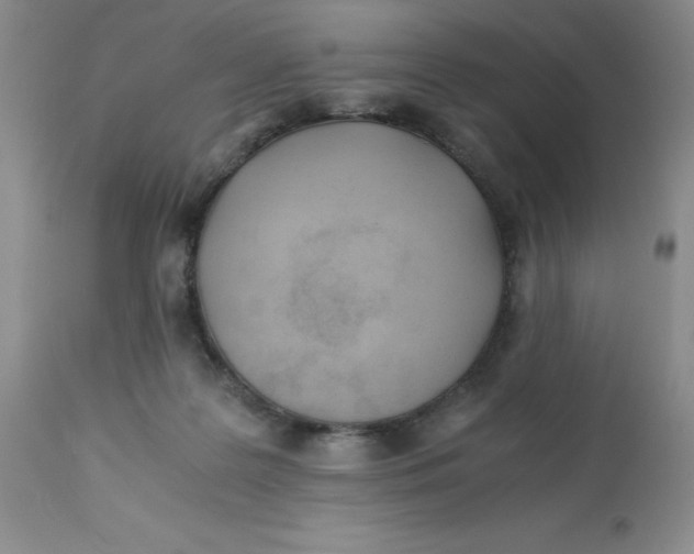 X0000113150219200909251336