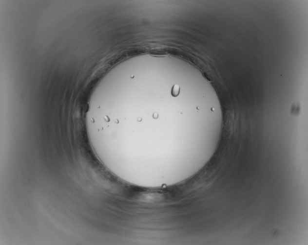 X0000113150220200909251336