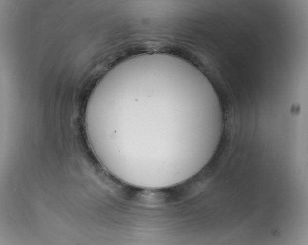 X0000113150221200909251336