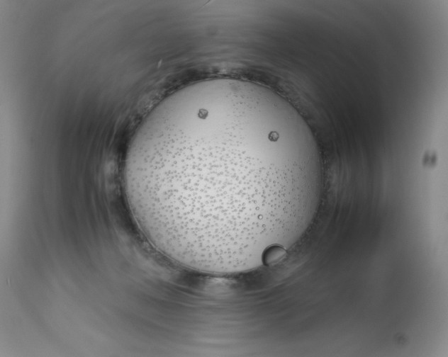 X0000113150222200909251336