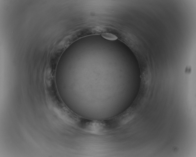 X0000113150223200909251336