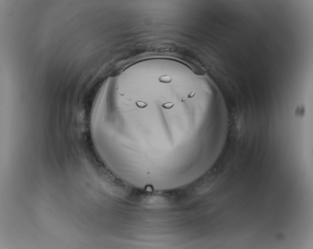 X0000113150224200909251336