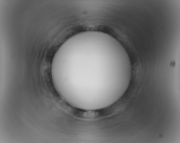 X0000113150225200909251335