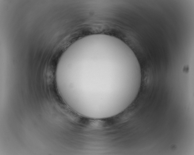 X0000113150226200909251335