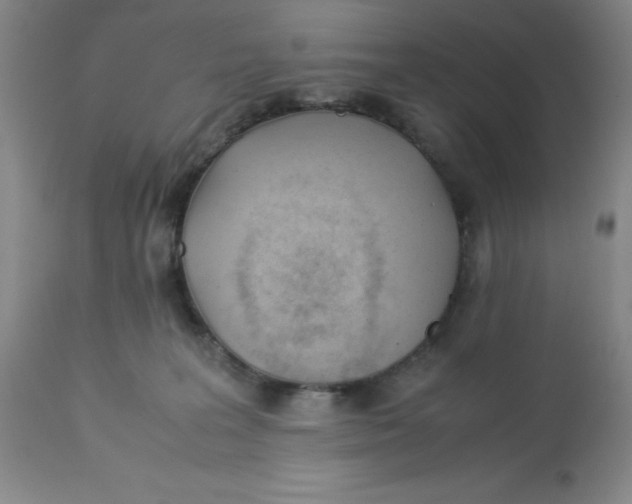 X0000113150227200909251335