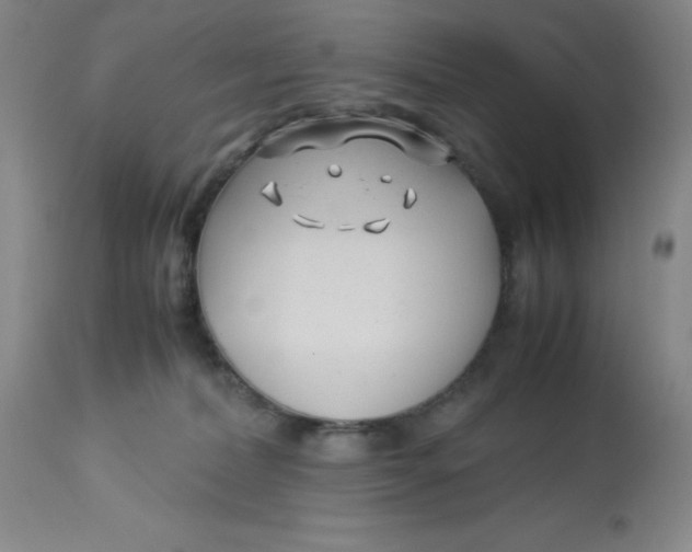 X0000113150228200909251335