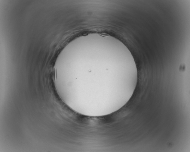 X0000113150229200909251335