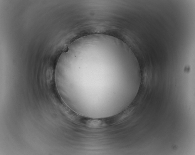 X0000113150230200909251335