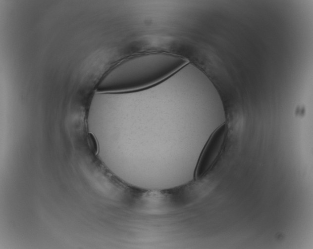 X0000113150231200909251335