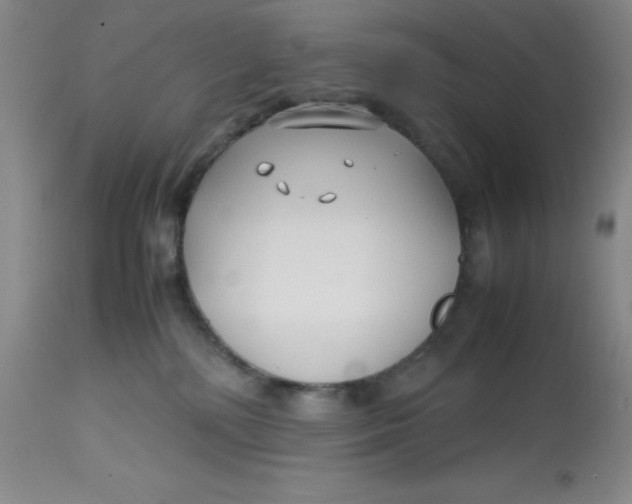 X0000113150232200909251335