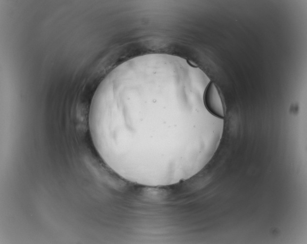 X0000113150234200909251335