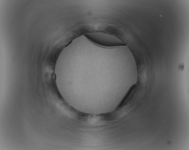 X0000113150235200909251335