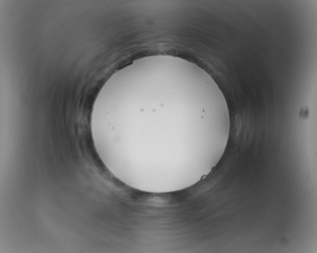 X0000113150236200909251335