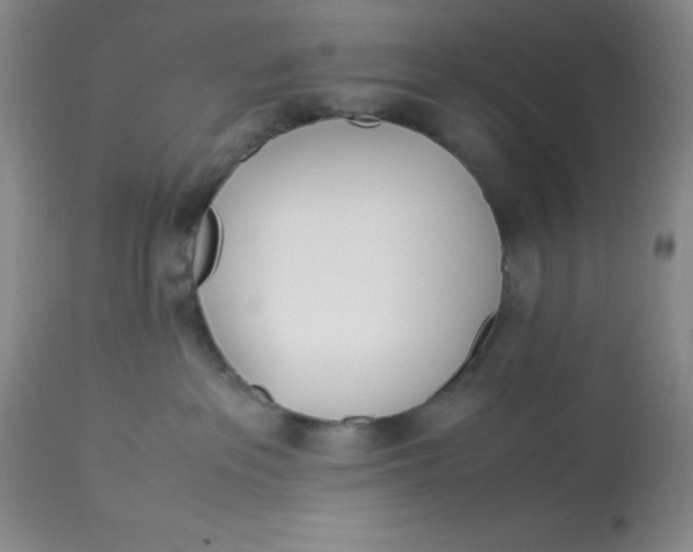 X0000113150237200909251335