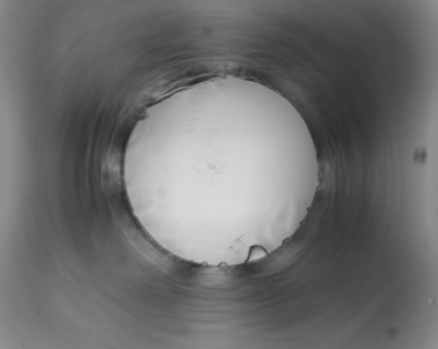 X0000113150238200909251335