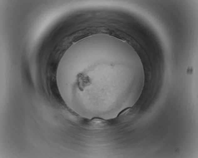 X0000113150239200909251335