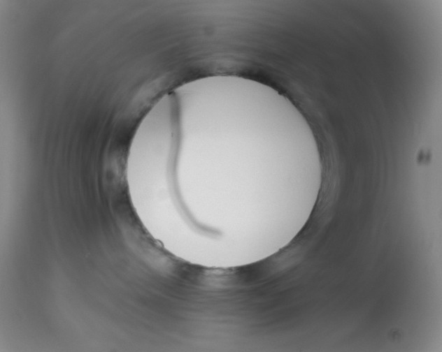 X0000113150240200909251335