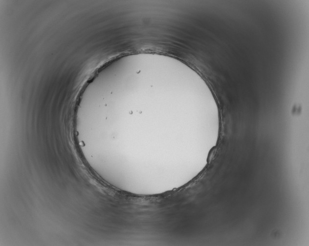 X0000113150241200909251334