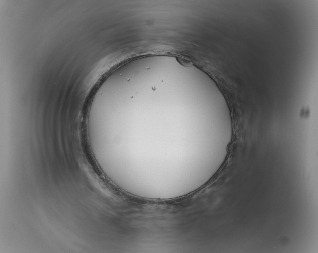 X0000113150242200909251334