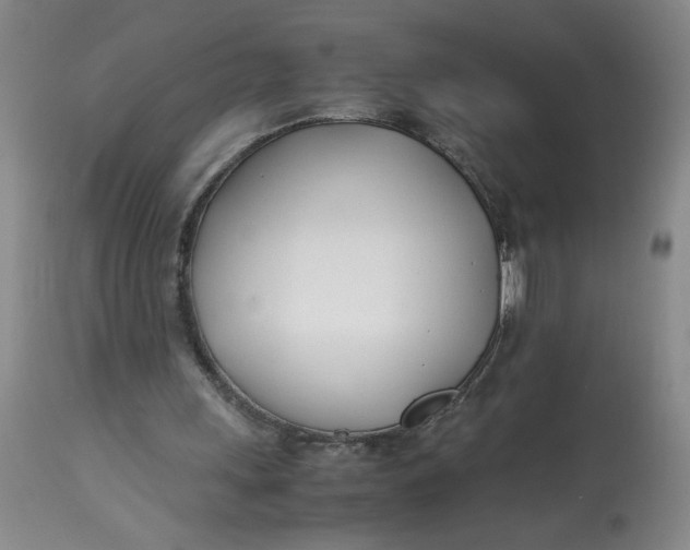 X0000113150243200909251334